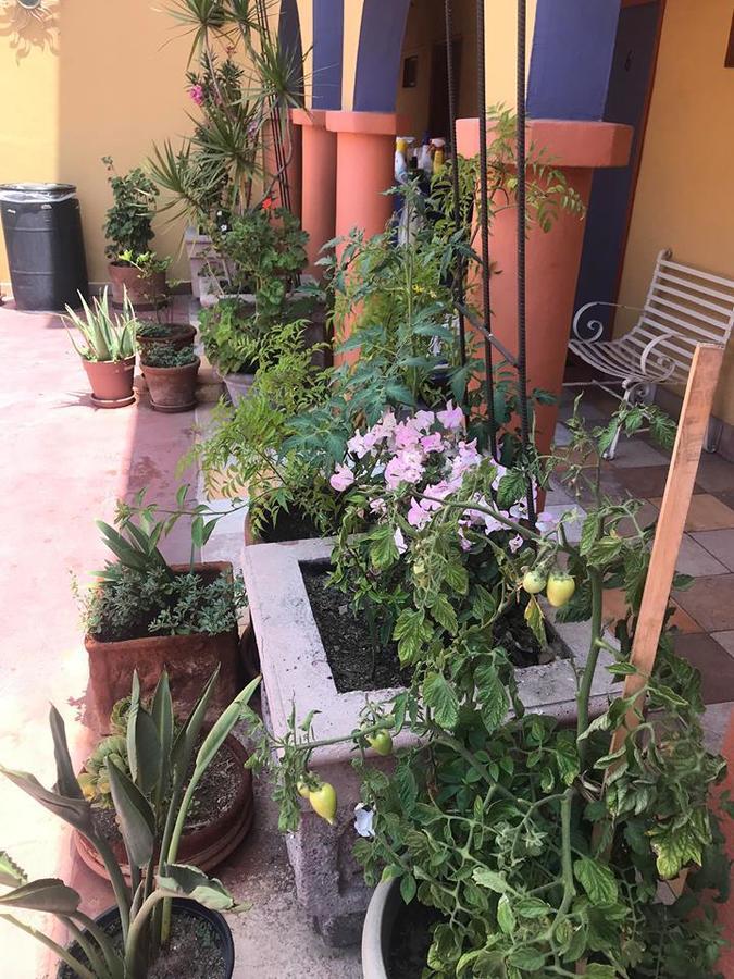 Hotel Sevilla Tijuana Buitenkant foto